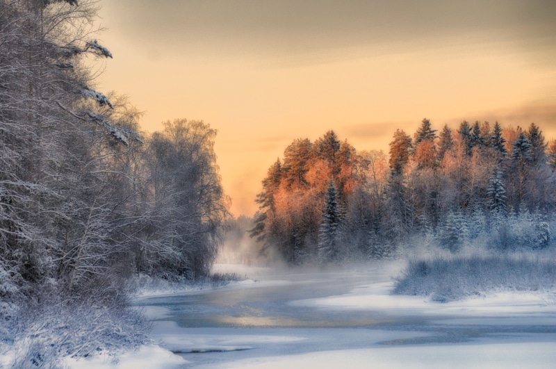 plant, scenics - nature, beauty in nature, nature, sky, outdoors, cold temperature, Finland, land, idyllic, landscape, winter, tranquil scene, sunset, non-urban scene