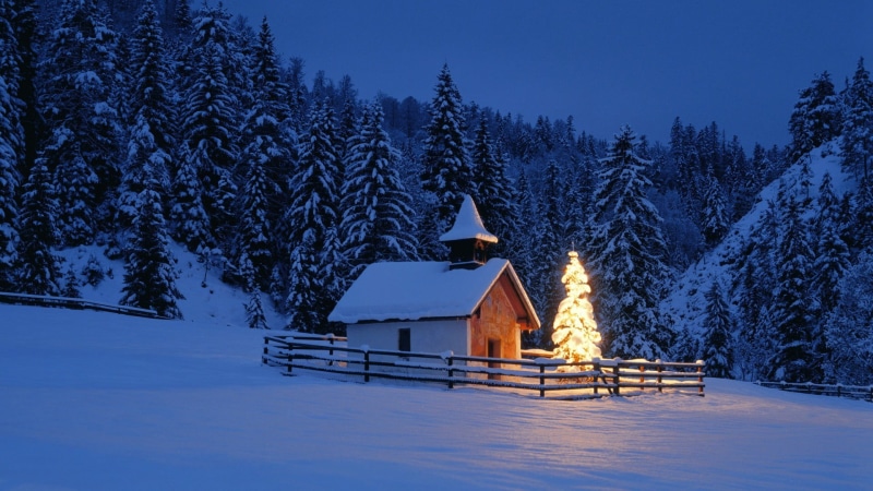 covered, house, lights, beauty in nature, sky, winter, built structure, 1080P, snow, pine tree, tranquility, cottage, scenics - nature, nighttime, illuminated
