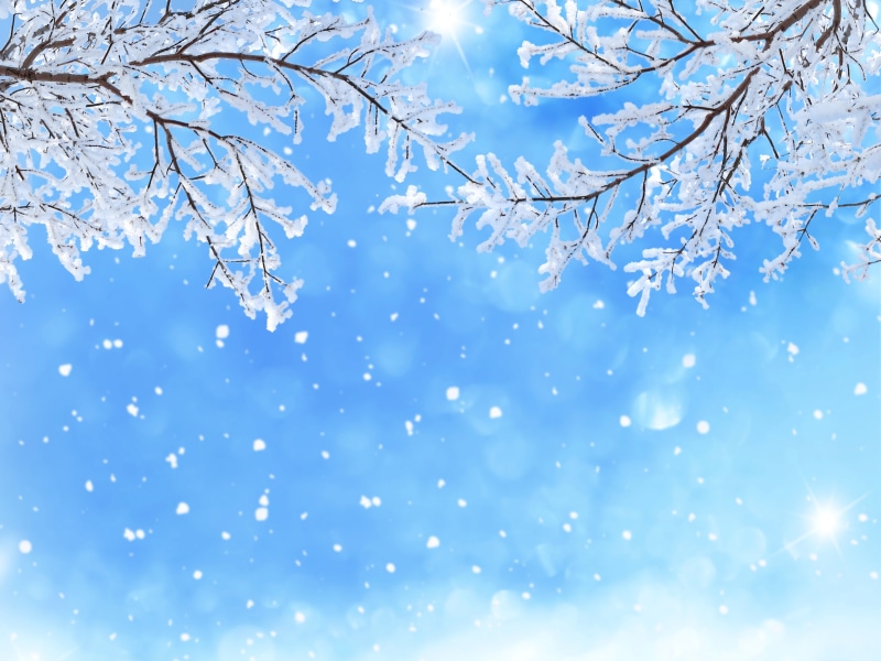 5K, 5K, Snowfall, Branches, Winter snow