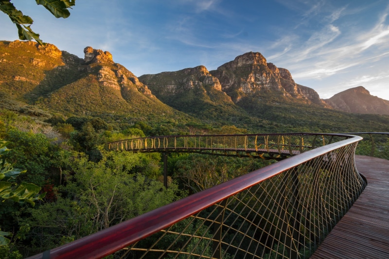 Kirstenbosch National Botanical Garden, black, railing, brown, trees, beauty in nature, plant, tree, outdoors, tranquil scene, architecture, 1080P, mountain range