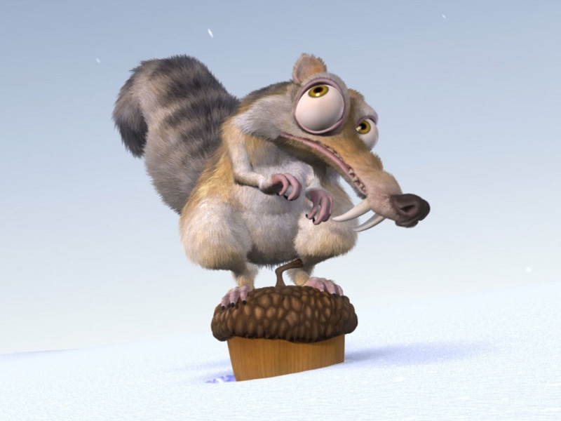 animal themes, animals in the wild, group of animals, animal family, bird, close-up, togetherness, indoors, Scrat (Ice Age), Ice Age, no people, two animals