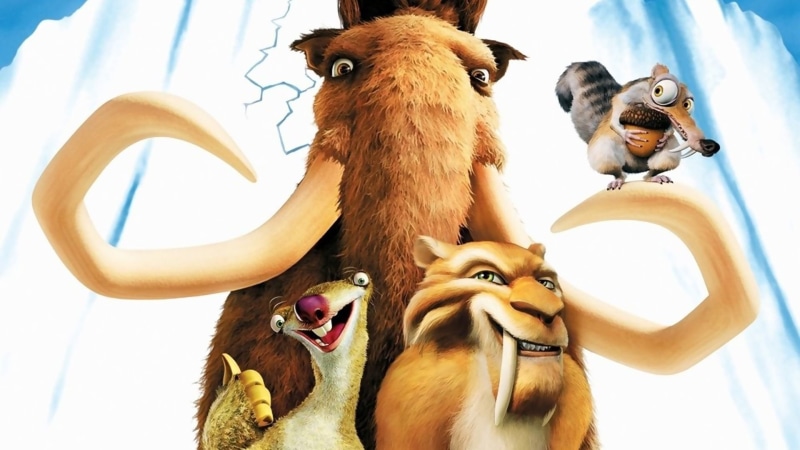 day, no people, herbivorous, sky, camel, Ice Age, animal head, animal family, animal wildlife, 1080P, nature, livestock, domestic animals, vertebrate