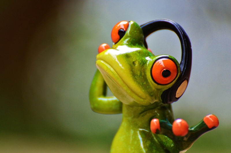 red, eye, frog, Music, vertebrate, figurine, camera, photographer, animal Eye, close-up, no people, looking, animals And Pets, focus on foreground, wildlife
