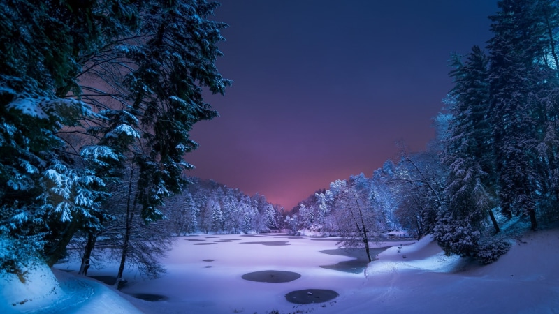 snow, light, snowy, fir, wilderness, evening, tree, frozen, winter, frozen lake, frost, sky, freezing, night, nature, lake, 1080P