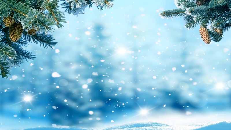 4K, no people, christmas ornament, winter, decoration, plant, fir tree, pine, holiday, snow, freezing, outdoors, christmas decoration, blue, branch, spruce