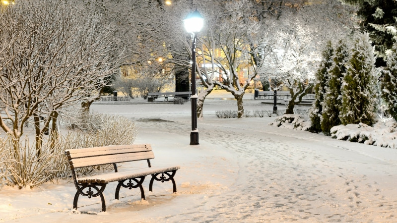 branch, frost, streetlight, tree, bench, street lights, 4K, snow, winter, snowy, freezing, park
