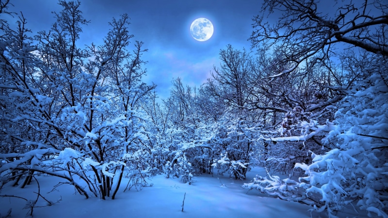 cold temperature, branch, environment, full moon, tree, freezing, sky, 4K, blue, moonlit, tranquil scene, night sky, night, moon, snowy, beauty in nature