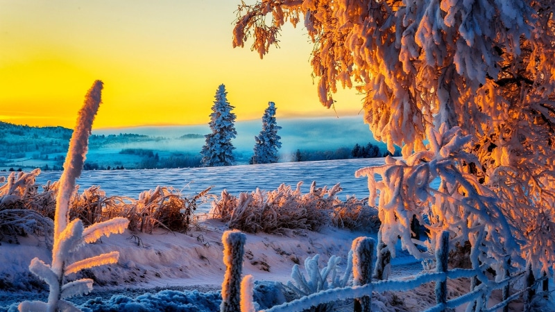 sky, freezing, trees, snowy, evening, landscape, snow, cold, water, tree, frost, sunset, 4K, winter