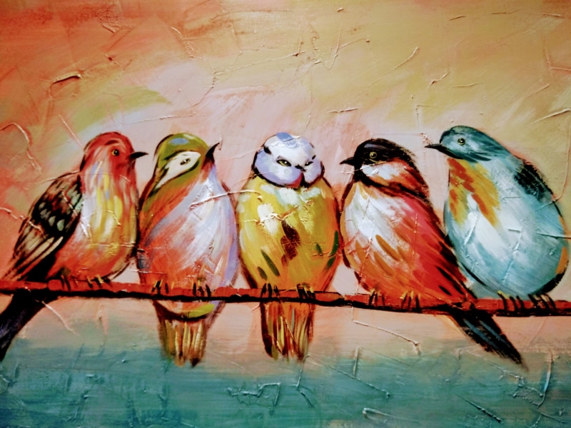 red, 4K, wildlife, animals in the wild, close-up, wild, bird, exotic, human representation, avian, choice, animals, colors, wall - building feature, blue