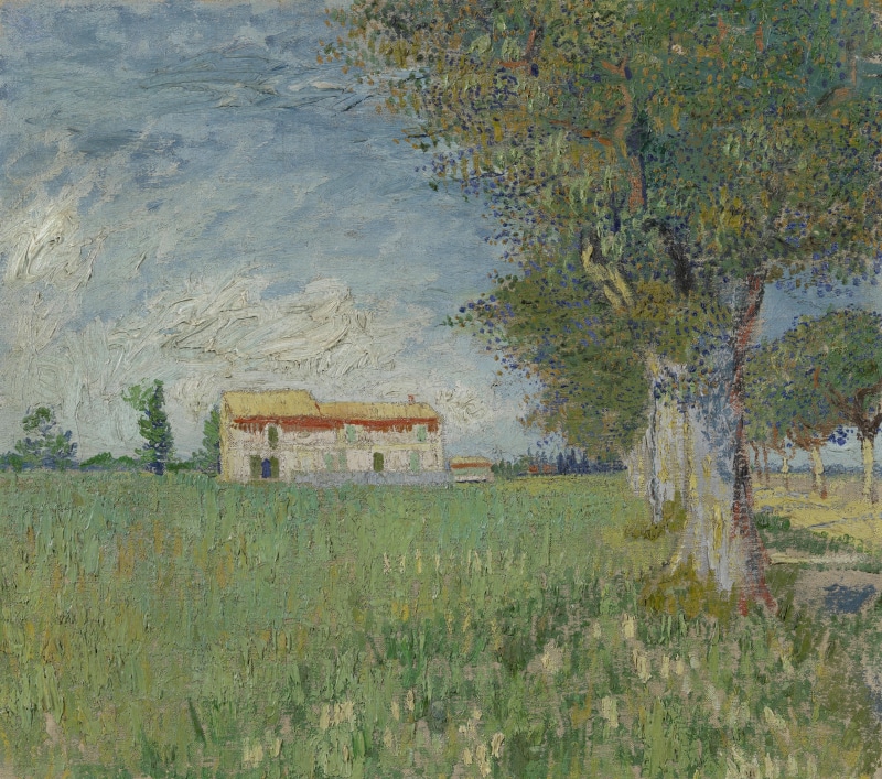 green color, field, tranquility, nature, landscape, no people, painting, day, built structure, architecture, environment, land, 4K, plant, oil painting