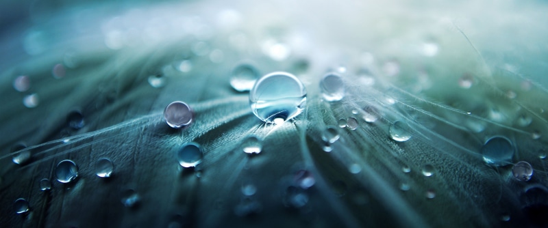 ultrawide, nature, landscape, macro, photography, 2K