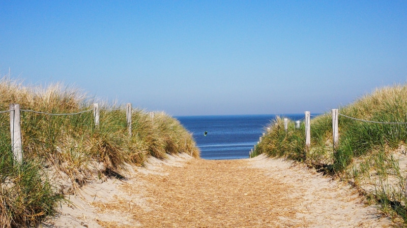 footpath, plant, horizon over water, clear sky, texel, scenics - nature, land, marram grass, idyll, 4K, dunes, sky, travel, grass, no people, nature, sea