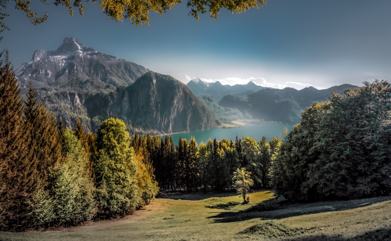 Austria, Mondsee, leaves, lake, lake  mountains, trees, serene, tree, forest, european Alps, nature, 5K, body of water, scenics, body, near, Schafberg
