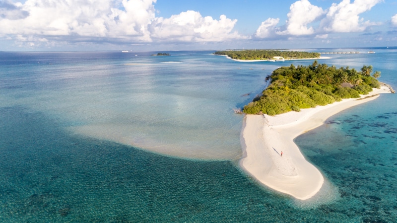 trees, summer, ripples, sky, seashore, outdoors, seascape, scenics - nature, travel, idyllic, scenic, no people, land, tropical, horizon, beautiful, non-urban scene