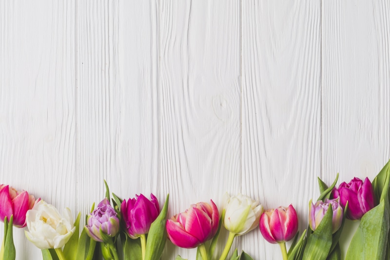 5K, white color, freshness, indoors, flower arrangement, plant, inflorescence, wood, colorful, flower, flowering plant, fragility, wall - building feature