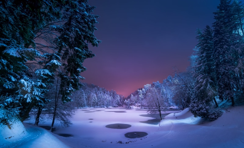 green, pine tree, pond, land, purple, park, frozen lake, night, plant, 2K, winter, ice, covering, path, cold temperature, environment, blue, tranquility
