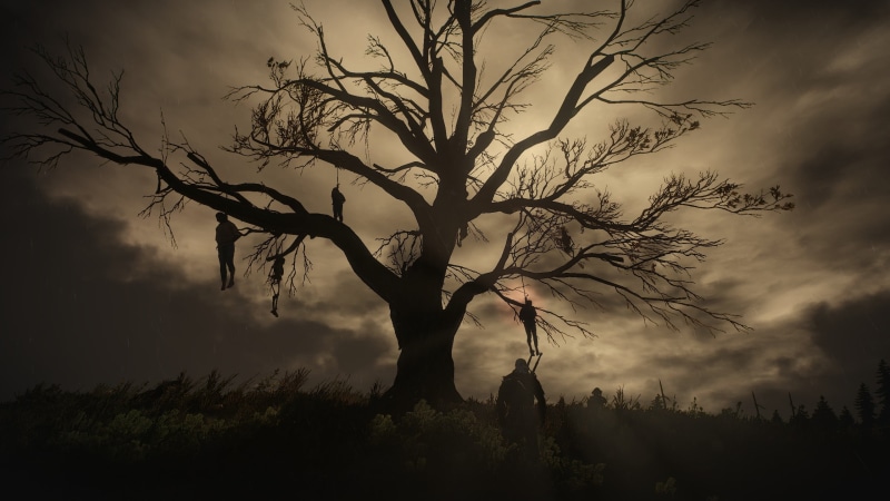 beauty in nature, scenics - nature, land, The Witcher 3:Wild Hunt, plant, bare tree, 2K, bare, field, outdoors, tranquility, isolated, nature, no people