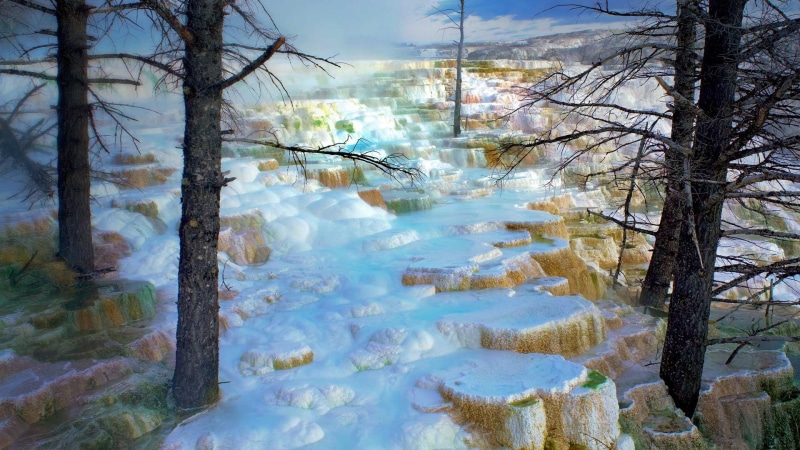 Mammoth Hot Springs, trunk, snow, nature, non-urban scene, tranquil scene, bare tree, water, winter, outdoors, tree trunk, 1080P, plant, day, reflection