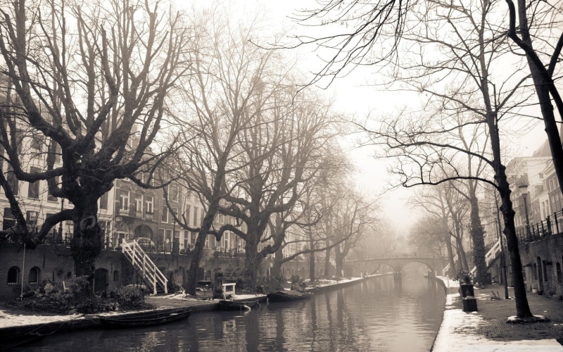 sky, Utrecht, incidental people, plant, day, outdoors, nautical vessel, Amsterdam, bare, branch, cityscape, architecture, nature, transportation, canal