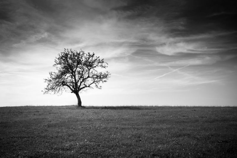 nature photography, grass, Leica M9, mountain, outdoor, mode, Zürich, negro, Stein  stone, flickr, black And White, sky, Sonntag, f/1.4, outdoors, grayscale