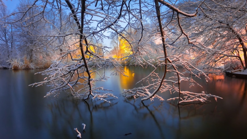 water, 1080P, lake, day, trees, long exposure, Brooklyn, outdoors, bare, New York City, winter, reflection, park, snow, branch, change, tree, nature, morning