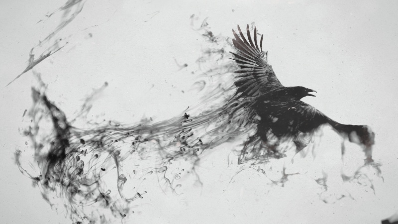crow, ink, artwork, monochrome, birds, raven, 1080P, digital art, animals, creativity