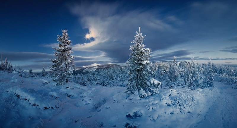 snow, beauty in nature, 720P, cold, Czech Republic, landscape, tranquility, coniferous tree, clouds, non-urban scene, land, nature, scenics - nature, forest