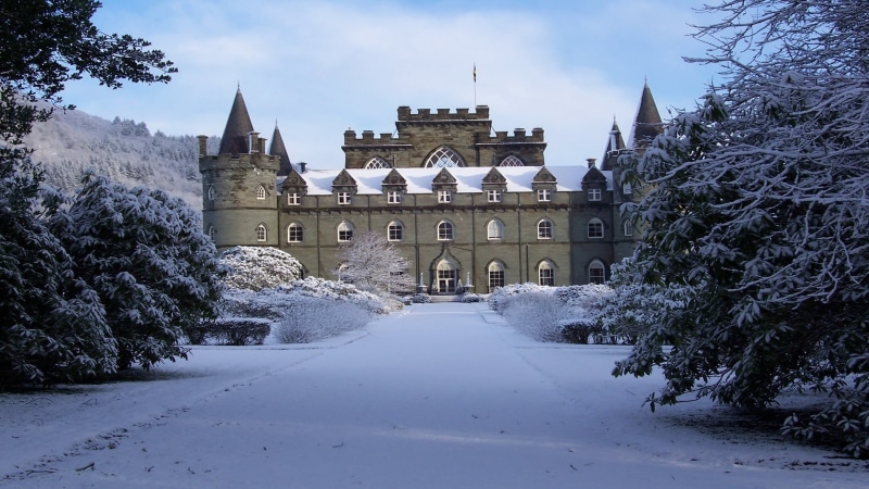 brown, forest, nature, old building, landscape, winter, travel destinations, history, trees, architecture, the way forward, snow, castle, no people, UK