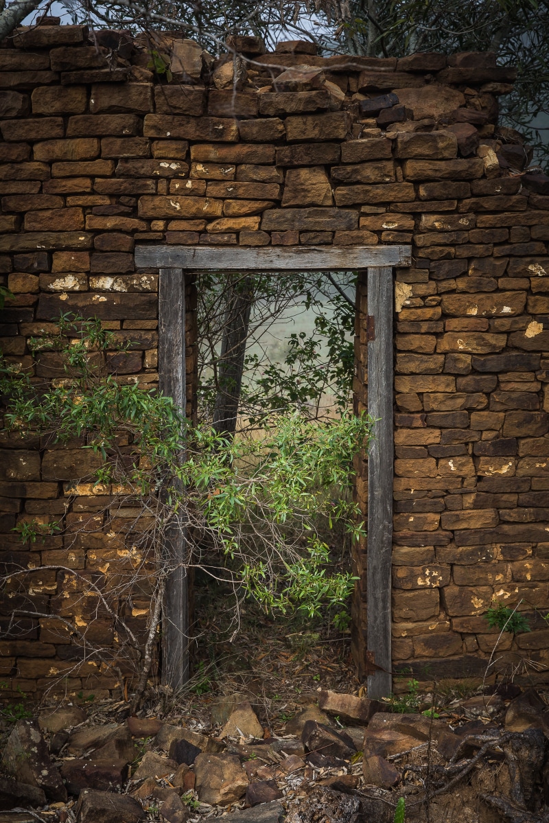 green, building exterior, growth, 5K, grass, ruins, framed, brown, outdoor, building, built structure, stone wall, wall - building feature, architecture