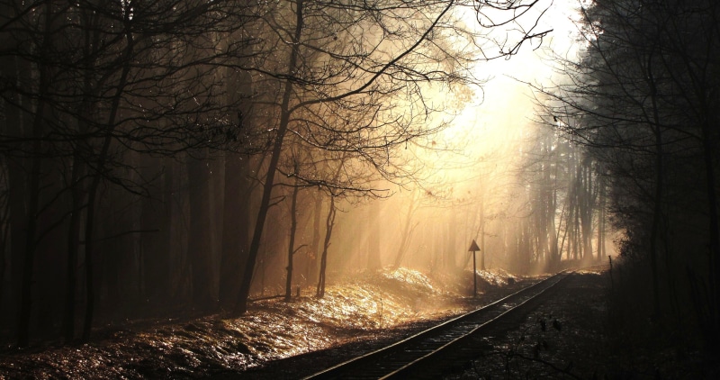 nature, railroad track, gray, mist, winter, the way forward, railway, outdoors, rail transportation, no people, land, tree, track, forest, landscape, rail