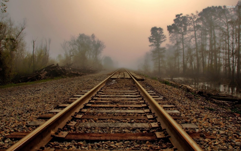 station, leaves, railroad Track, railroad tie, fog, day, metal, train, straight, no People, track, beauty in nature, steel, nature, transportation, sunset
