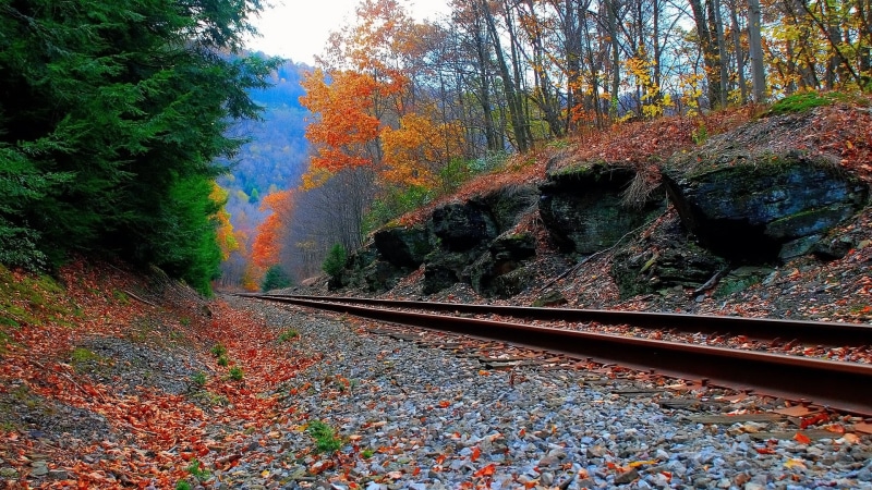 train, landscape, 1080P, land, rail, orange color, no people, rail transportation, the way forward, plant, rock, autumn collection, forest, trees, railroad track
