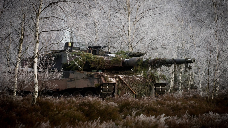 plane, nature, transportation, bare tree, abandoned, weapon, outdoors, day, obsolete, Leopard 2, plant, architecture, military, field, black, tree, tank