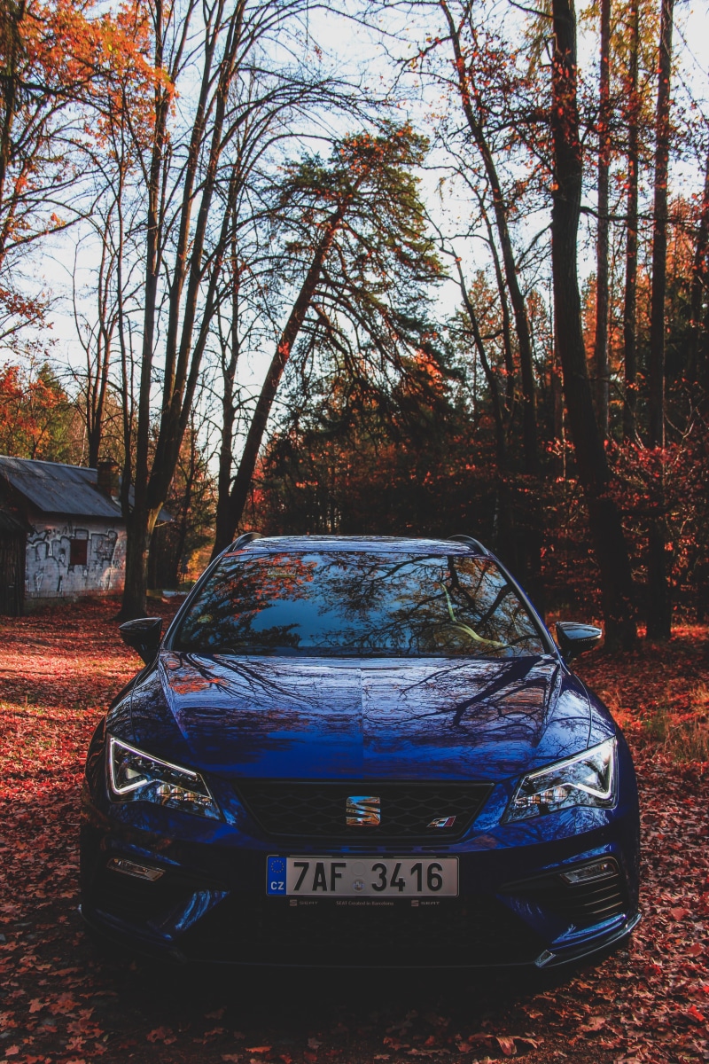 mode of transportation, text, nature, cars, plant, architecture, day, built structure, bare tree, change, photo, cupra, seat, autumn, transportation, motor vehicle