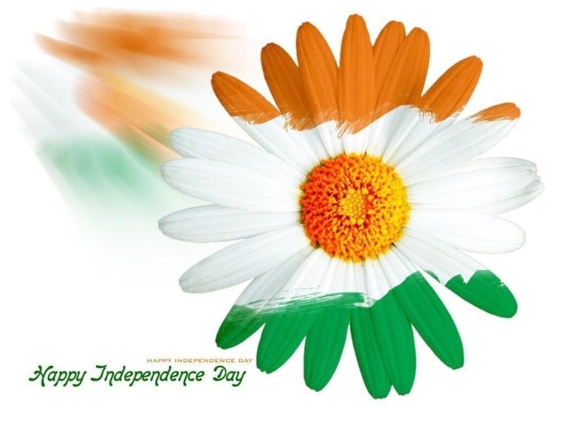 15 august, india flag, independence day, happy independence day, 480P, 2017