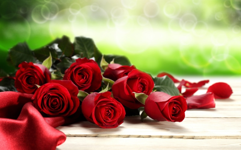 red roses, valentines, 2K, background, valentines day, roses, red, day