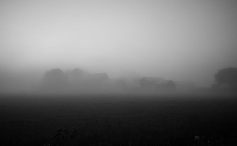 non-urban scene, anaset, White, outdoors, gloomy, field, no people, vasterbotten, Lightroom, Black, tree, scenics - nature, Black and White, hazy, 4K