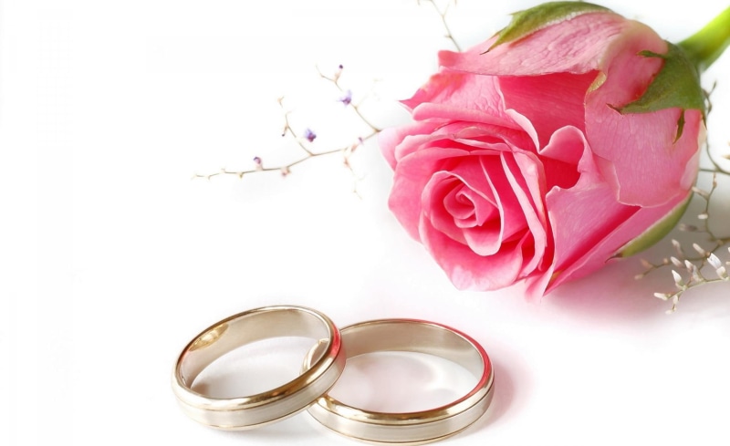 rings, beautiful rose, beauty, 3d and abstra, wedding, pink rose, special day, pink, 1080P, day, special, rose, flower, love