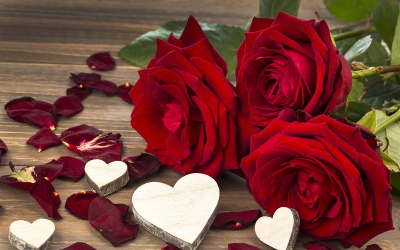 s, Valentine, Day, 2K, Flowers, Red, Rose, three, Love
