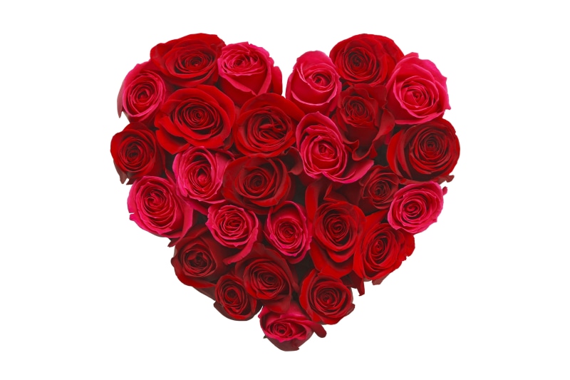 indoors, red, decoration, close-up, heart Shape, passion, bouquet, white background, romantic, celebration, flowering plant, valentines Day - Holiday, love