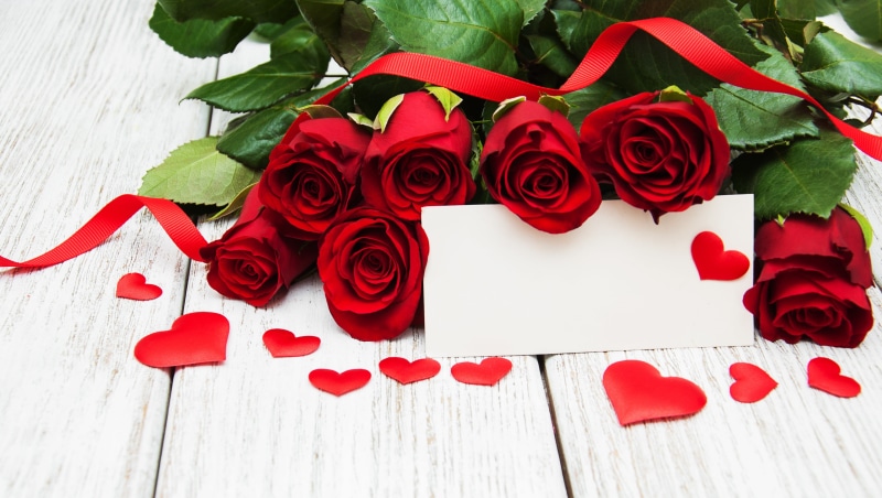 buds, red roses, love, flowers, 4K, red, heart, valentine`s day, roses, romantic