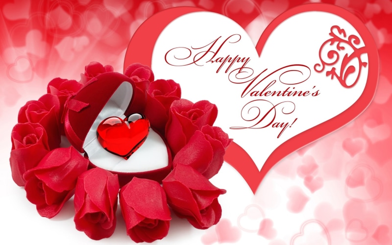 1080P, Day, s, Valentine, Red, Happy, Flowers, Ruby, Rose