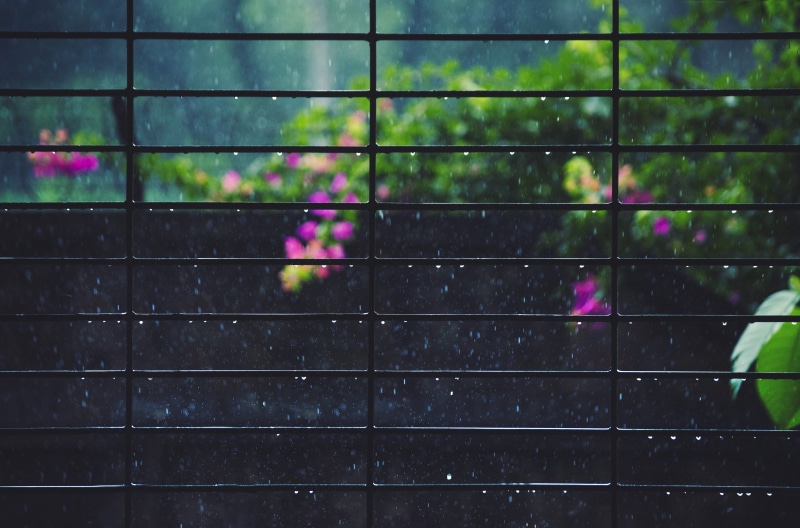 drop, full frame, pattern, outdoors, close-up, multi colored, nature, wet, no people, green color, 5K, water, monsoon, plant, wall - building feature