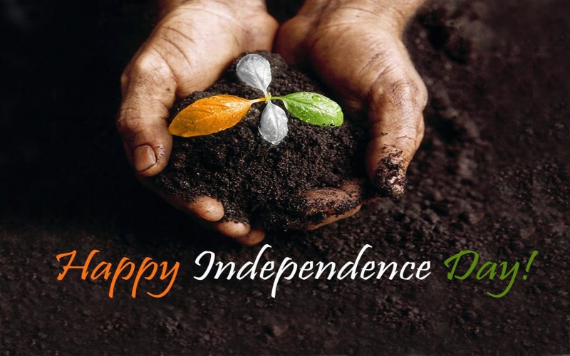 human body part, holding, festival, food and drink, fruit, wellbeing, close-up, Independence Day, gardening, finger, hand, text, citrus fruit, independence