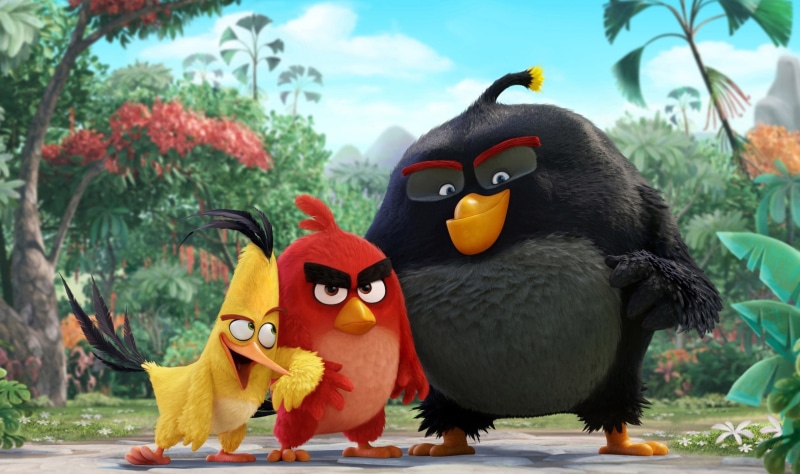 angry, moe, backgrounds, grumpy, Rovio, black color, subarashii, animal, birds, Angry Birds the Movie, animal representation, toy, bird, series, deredere