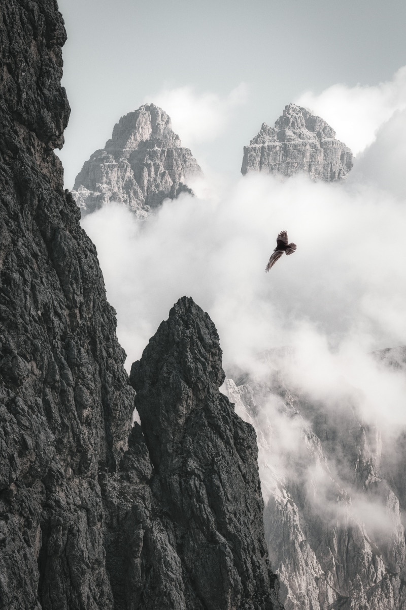 fog, adventure, mountains, cliff, cold, nature, flight, summit, wings, eagle, beauty in nature, clouds, mountain range, mountain, scenics - nature, one person
