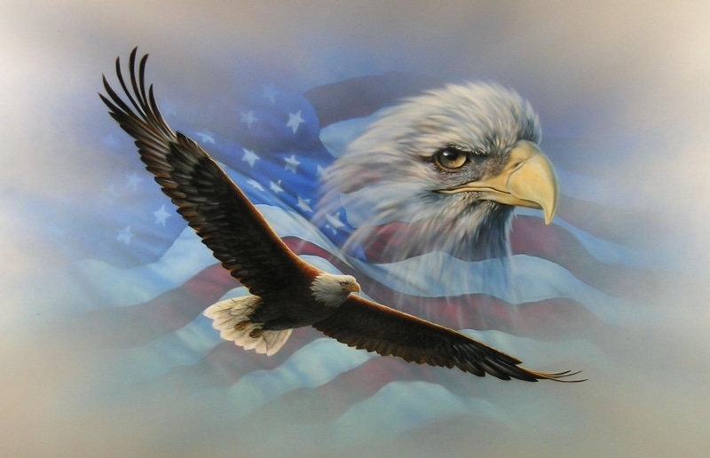 oliday, july 4, holiday, flag, memorial day, american, animals, eagle, amp, illustration, 1080P