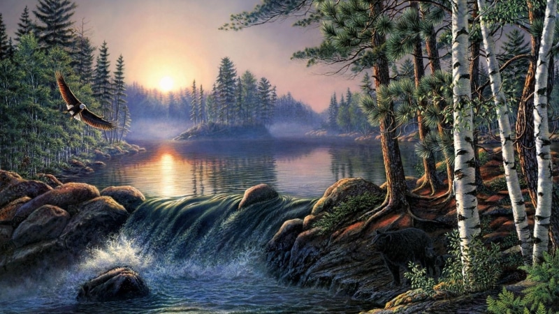 eagle, landscape, bald eagle, water, painting, 1080P, art, bird, sunrise, bank, sky, nature, tree, river, artistic, sun, forest