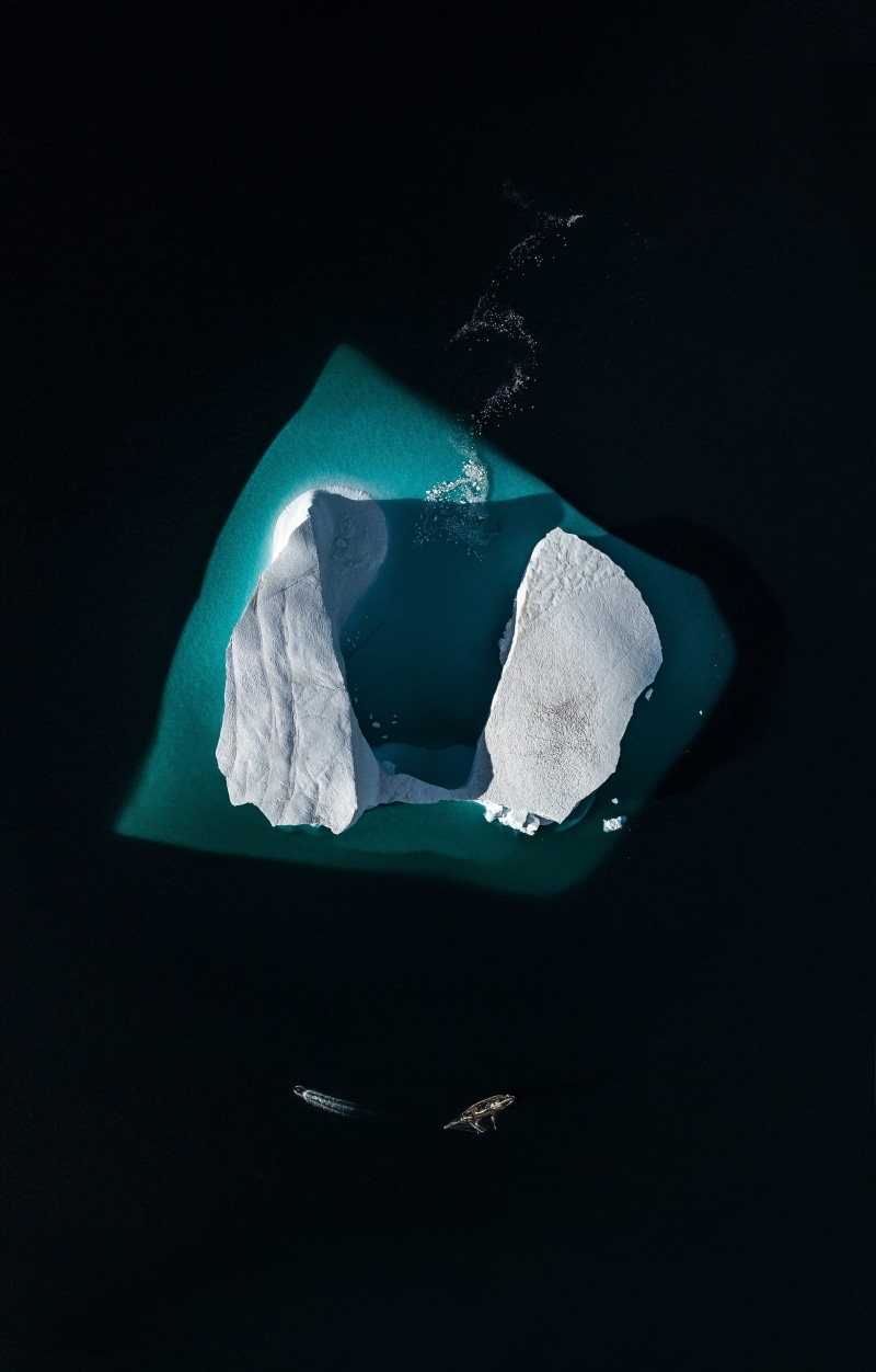drone view of iceberg, nature, boat, ocean, sea, black water, no People, iceberg - Ice Formation, drone, white, cold, iceberg, arctic, from above, backgrounds
