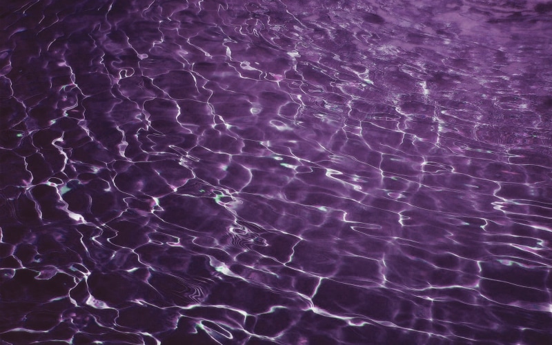 backgrounds, natural pattern, textile, beauty in nature, purity, high angle view, close-up, day, swimming pool, purple, tranquility, full frame, vaporwave